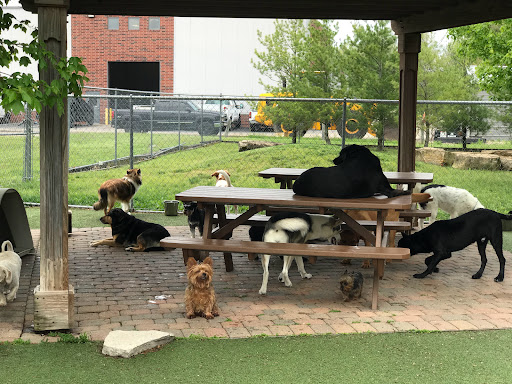 Pet Store «Happy, Clean and Smart», reviews and photos, 5700 W Kilgore Ave, Muncie, IN 47304, USA