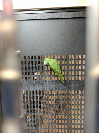 Pet Supply Store «PetSmart», reviews and photos, 849 E 23rd St, Panama City, FL 32405, USA