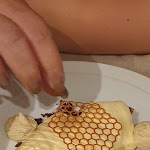 Photo n°6 de l'avis de Fabio.m fait le 30/03/2024 à 20:36 sur le  Lo Sconciglio à Castagneto Carducci