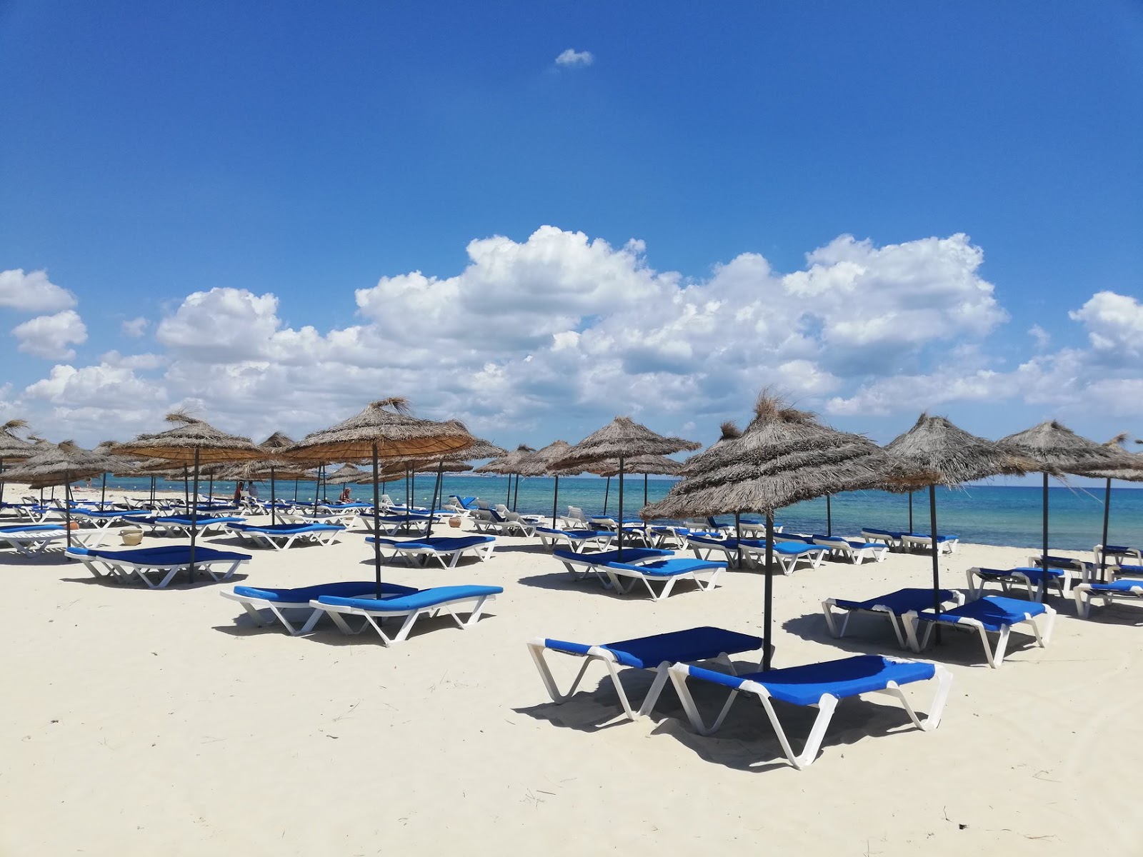 Plage Jinene Hammamet的照片 具有非常干净级别的清洁度