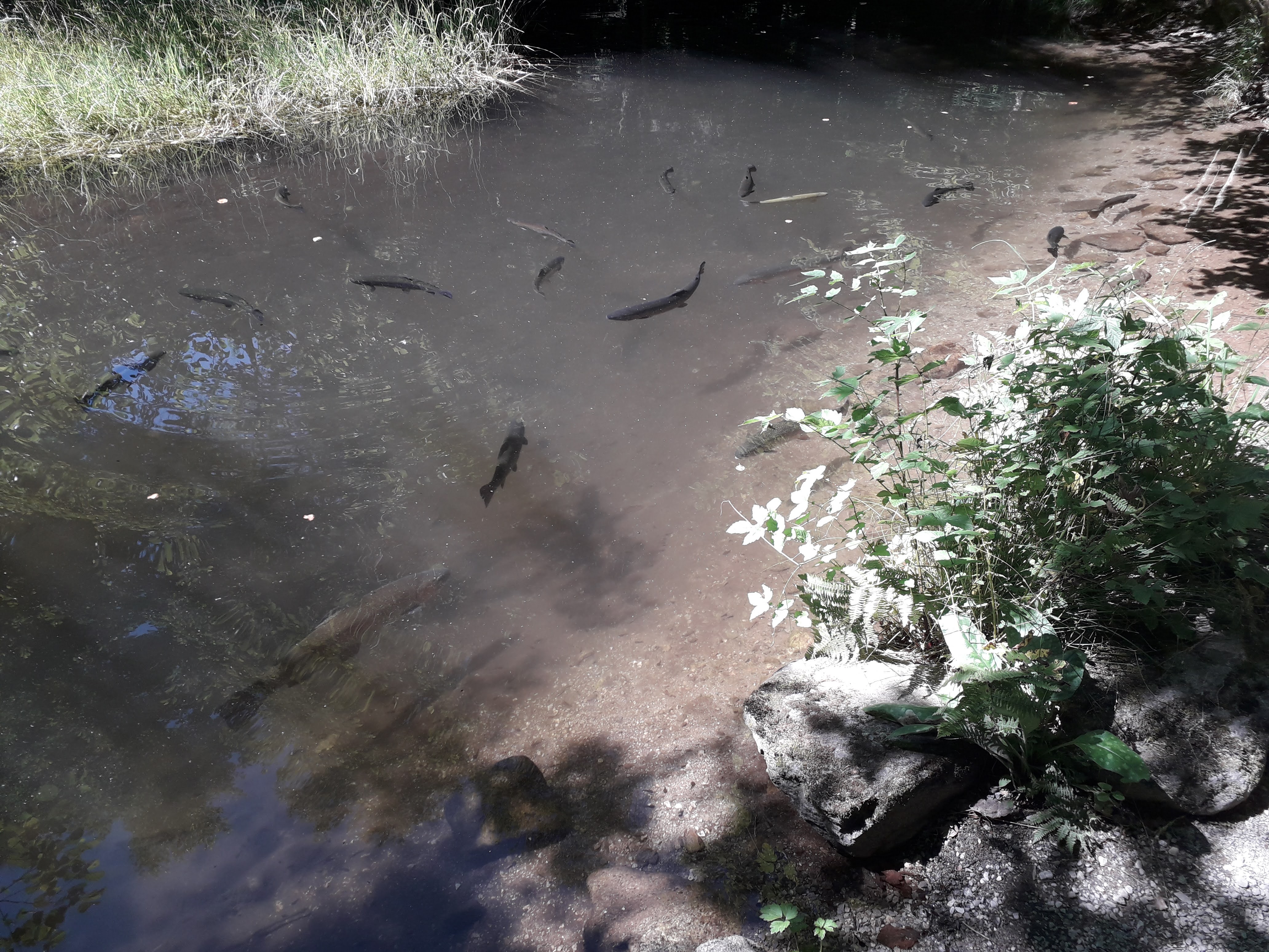 Photo n° 23 de l'avis de Franck.i fait le 19/07/2020 à 15:45