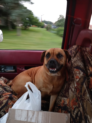 Wildwood Veterinary Clinic