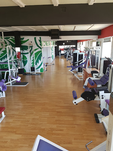 Gimnàs Alpha Gimnasio en Breda, Girona