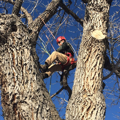 Spruce Tree Service