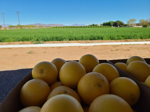 Produce Market «Orange Patch», reviews and photos, 2717 E Lehi Rd, Mesa, AZ 85213, USA