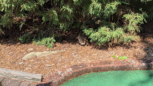 Miniature Golf Course «Olde Sawmill Grill and Miniature Golf Course», reviews and photos, 345 Oxford Rd, Oxford, CT 06478, USA