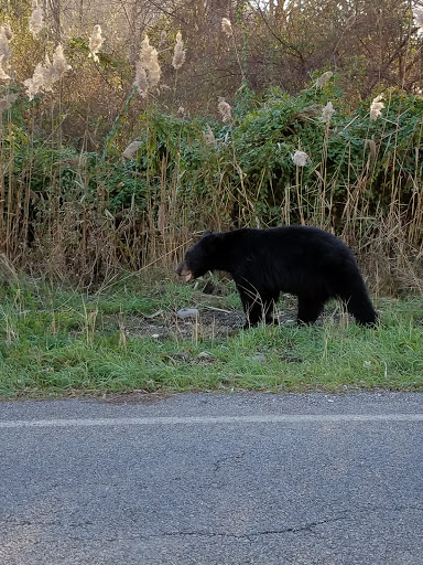 Country Club «Great Gorge Golf Course», reviews and photos, 414 County Road 517, Vernon Township, NJ 07462, USA