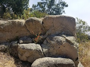 Charmlee Wilderness Park - photo 33