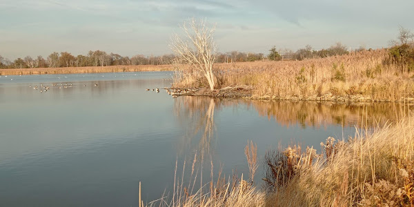 Jamaica Bay Wildlife Refuge