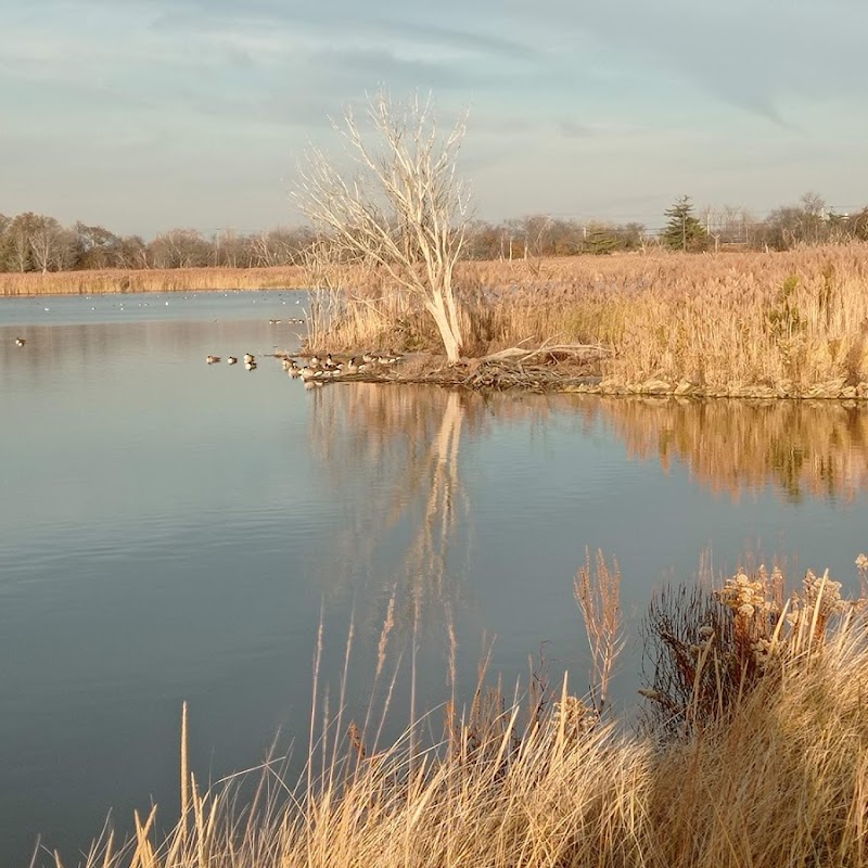 Jamaica Bay Wildlife Refuge