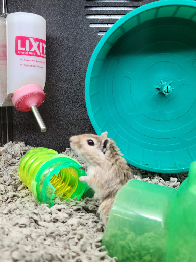 Pet Supply Store «PetSmart», reviews and photos, 5722 Fairmont Pkwy, Pasadena, TX 77505, USA