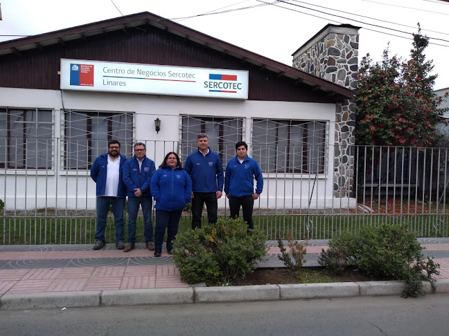 Opiniones de Centro de Negocios Sercotec Linares en Linares - Oficina de empresa
