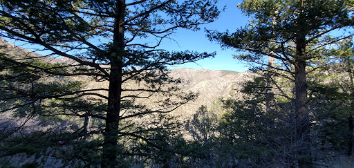 National Park «Guadalupe Mountains National Park», reviews and photos