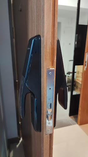 Comentarii opinii despre The Door Specialist Pte Ltd