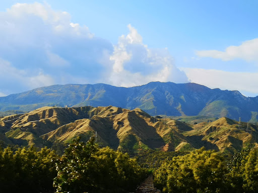 Florist «Loose Caboose LLC», reviews and photos, 18492 E Telegraph Rd, Santa Paula, CA 93060, USA