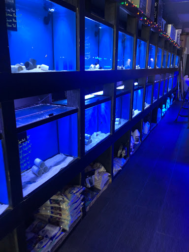 Tropical Fish Store «OceanLife Aquariums», reviews and photos, 5475 West Loop S, Houston, TX 77081, USA