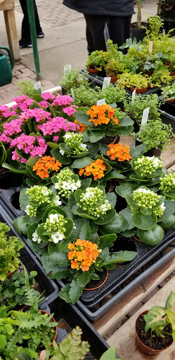 Florist «Skillins Greenhouses», reviews and photos, 89 Foreside Rd, Falmouth, ME 04105, USA