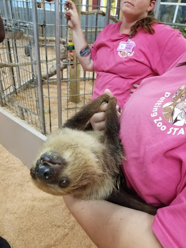 Zoo «Jozee Rooz Indoor Petting Zoo», reviews and photos, 120 138th St S, Tacoma, WA 98444, USA