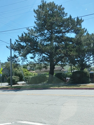 Auto Repair Shop «Greenbridge Gas & Auto», reviews and photos, 11401 CA-1, Point Reyes Station, CA 94956, USA