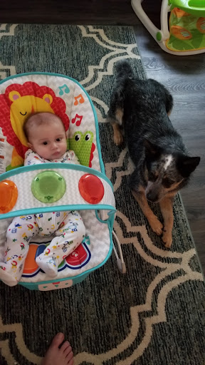 Pet Supply Store «Petco Animal Supplies», reviews and photos, 1337 N National Rd, Columbus, IN 47201, USA