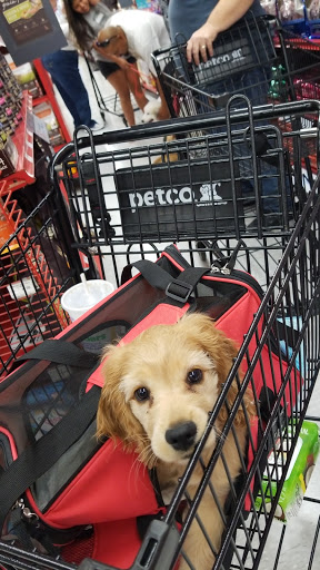 Pet Supply Store «Petco Animal Supplies», reviews and photos, 412 W Army Trail Rd, Bloomingdale, IL 60108, USA