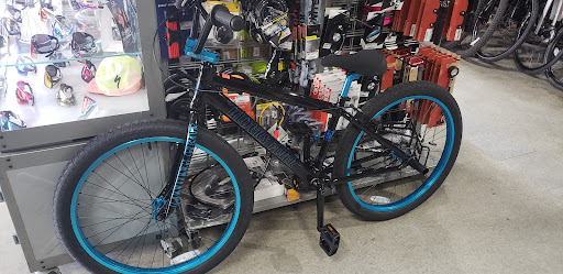 Bicycle Store «Big Wheel Bicycles USA, Inc», reviews and photos, 7035 Taft St, Hollywood, FL 33024, USA