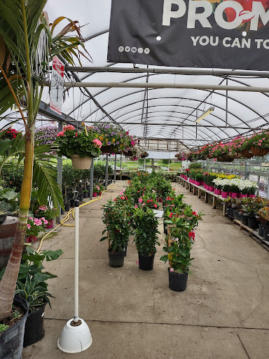 Plant Nursery «Blooming Acres», reviews and photos, 7561 State Rd, Wadsworth, OH 44281, USA