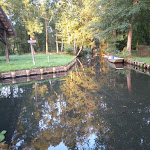 Photo n°3 de l'avis de Klaus.l fait le 14/09/2019 à 11:44 sur le  Restaurant Suez Spreewald à Lübbenau