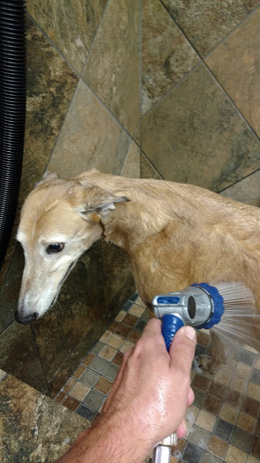 Pet Supply Store «Pet Valu», reviews and photos, 1308 Main Chapel Way, Gambrills, MD 21054, USA