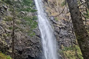 Plodda Falls image