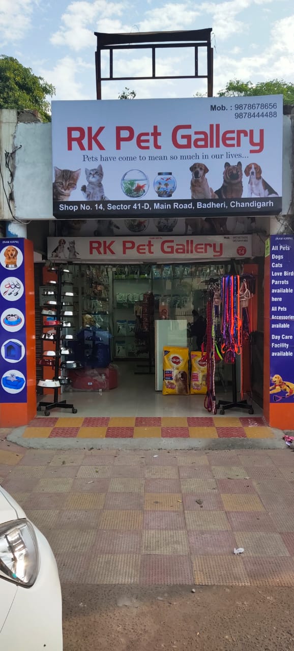 RK Pet Gallery - Pet Shop Chandigarh