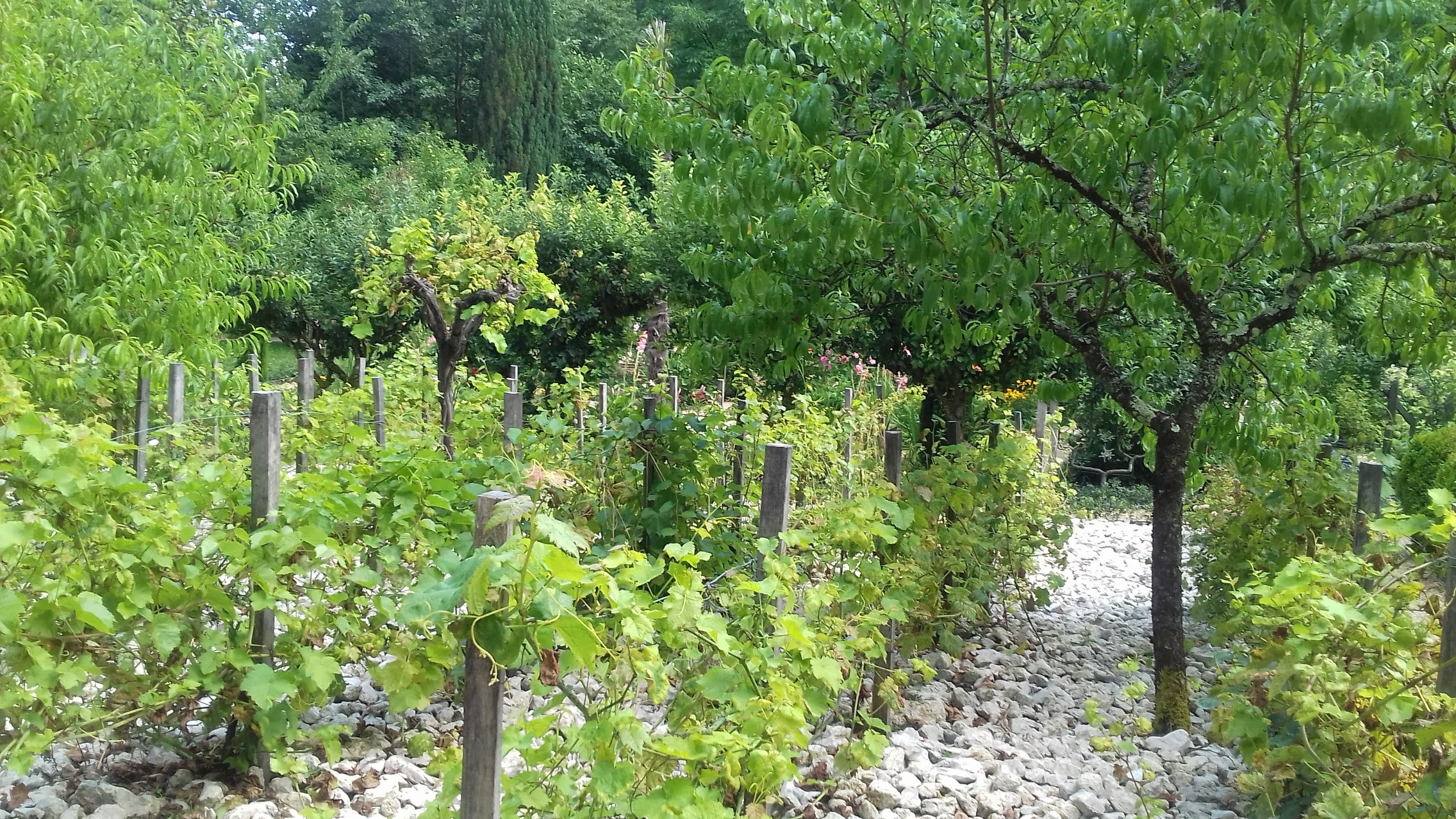 Photo n° 1 de l'avis de Régine.h fait le 21/07/2018 à 09:10