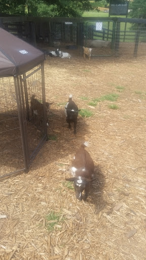 Farm «Tanglewood Farm Miniatures», reviews and photos, 171 Tanglewood Dr, Canton, GA 30115, USA