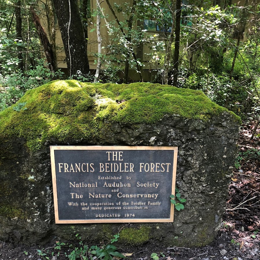 Audubon's Beidler Forest Sanctuary