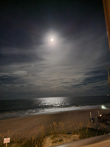 Bridget Williams review picture