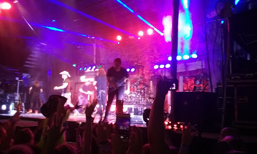 Stadium «Palisades Credit Union Park», reviews and photos