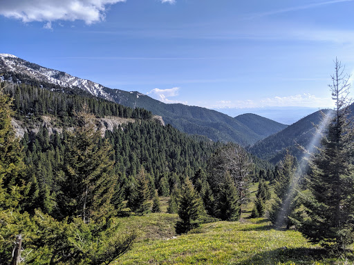 Middle Cottonwood Trail, Saddle Mountain Rd Jeep Trail, Bozeman, MT 59715