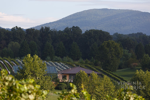 Winery «Glass House Winery», reviews and photos, 5898 Free Union Rd, Free Union, VA 22940, USA