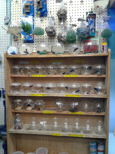 Pet Store «Jules Pet Shop», reviews and photos, 2214 N Milwaukee Ave, Chicago, IL 60647, USA