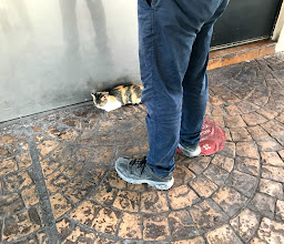 CAFFENIO Vado del Río photo