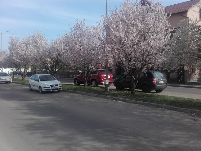 Strada Bistriței 9, Suceava 720273, România