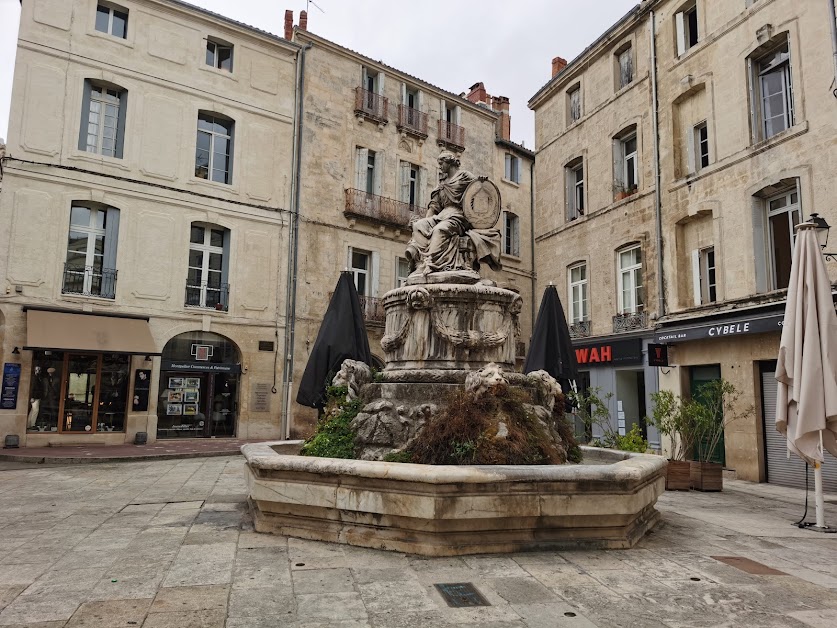 Montpellier Commerces et Patrimoine à Montpellier (Hérault 34)