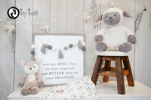 Toy Store «Tip Toes», reviews and photos, 60 E 8th St, Holland, MI 49423, USA