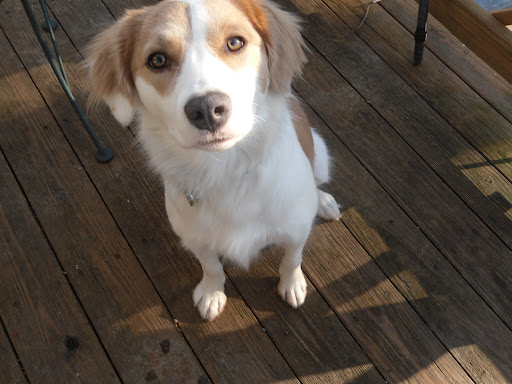 Appliance Store «Bayshore Appliance», reviews and photos, 1214 NJ-36, Hazlet, NJ 07730, USA