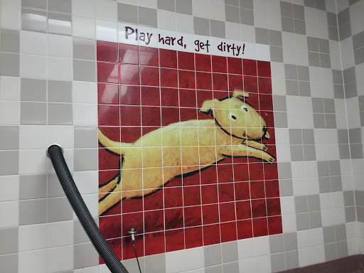 Pet Food Express image