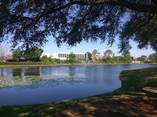 Hotel «Courtyard by Marriott Orlando Lake Buena Vista at Vista Centre», reviews and photos, 8501 Palm Pkwy, Orlando, FL 32836, USA