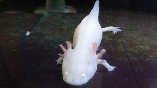 Aquarium «Biomes Marine Biology Center», reviews and photos, 6640 Post Rd, North Kingstown, RI 02852, USA