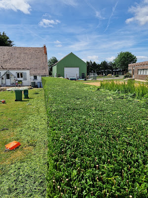 NET PAYSAGE - ESPACES VERTS OISE - PAYSAGISTE - ELAGAGE - CLOTURES - PORTAIL à Songeons