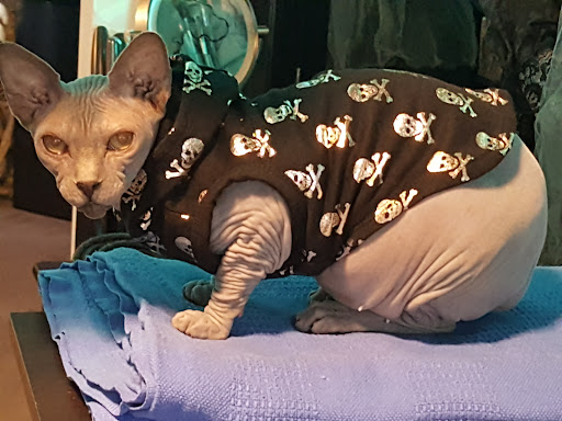 Pet Supply Store «PetSmart», reviews and photos, 10329 S State St, Sandy, UT 84070, USA