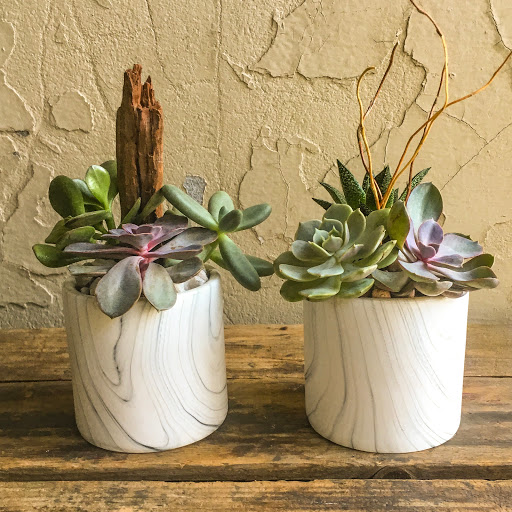 Wholesale Florist «Urban Jungle», reviews and photos, 2603 Sherman Ave NW, Washington, DC 20001, USA